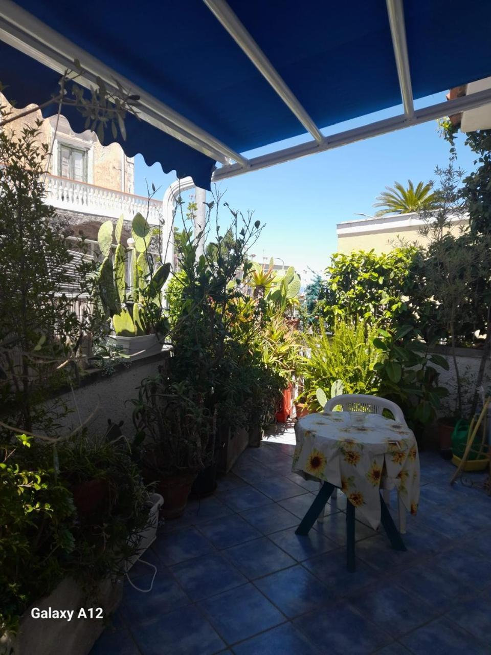 Casa Vacanza Maronti Barano dʼIschia Eksteriør billede